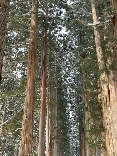 戸隠神社中社(長野県)