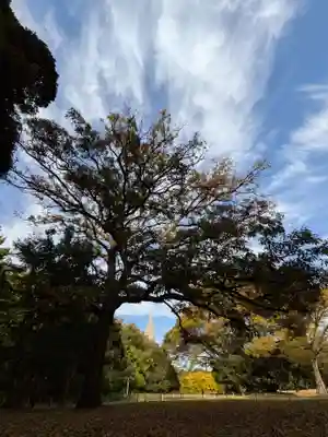 明治神宮(東京都)