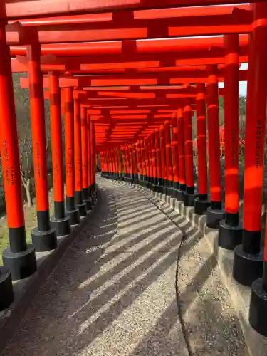 高山稲荷神社の{uncategorized: "未分類", other: "その他", undefined: "問題あり", building: "その他建物", grave: "お墓", sacred_gate: "鳥居", guardian: "狛犬", statue: "像", buddha: "仏像", history: "歴史", nature: "自然", garden: "庭園", animal: "動物", pagoda: "塔", temizu: "手水舎", mountain_gate: "山門・神門", sanctuary: "本殿・本堂", subordinate: "末社・摂社", art: "芸術", scenery: "景色", jizo: "地蔵", ema: "絵馬", goshuin: "御朱印", omikuji: "おみくじ", items: "授与品その他", amulet: "お守り", goshuincho: "御朱印帳", eats: "食事", festival: "お祭り", votive_dance: "神楽", shichigosan: "七五三参", wedding: "結婚式", experience: "体験その他", initially: "初詣", around: "周辺", anti_infection: "感染症対策"}