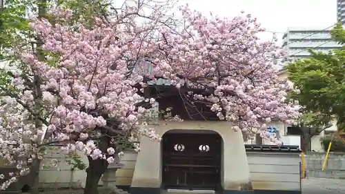 新光寺の山門