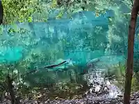 丸池神社(山形県)