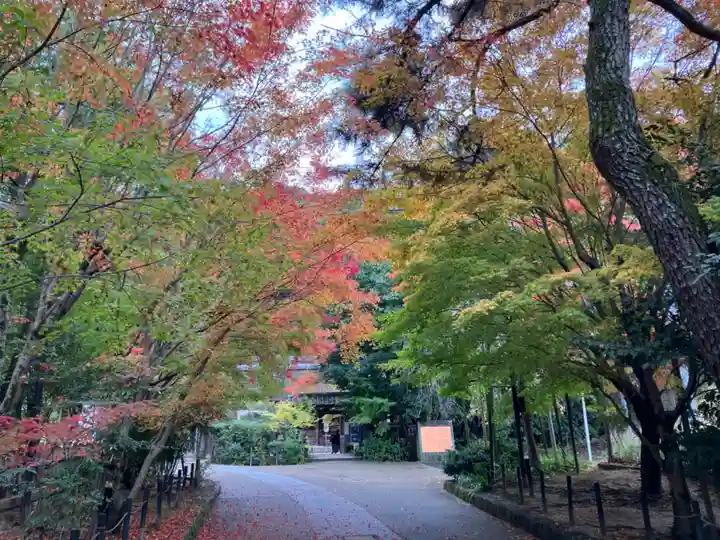 宇治上神社(京都府)