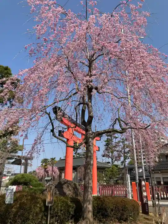 竹駒神社の自然