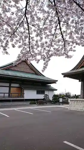 政淳寺の本殿・本堂