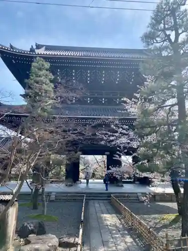 くろ谷 金戒光明寺の山門