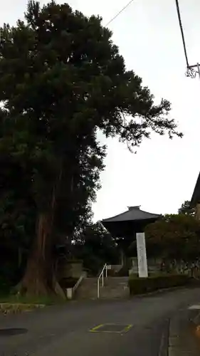  七国山薬王寺の山門・神門