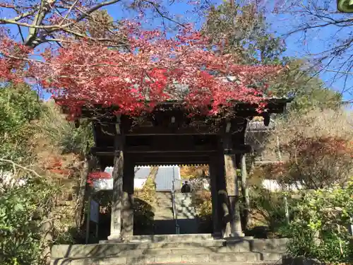 崇禅寺の山門