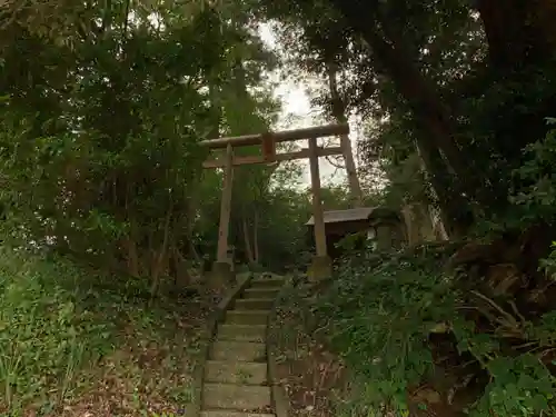 音羽稲荷大明神の鳥居