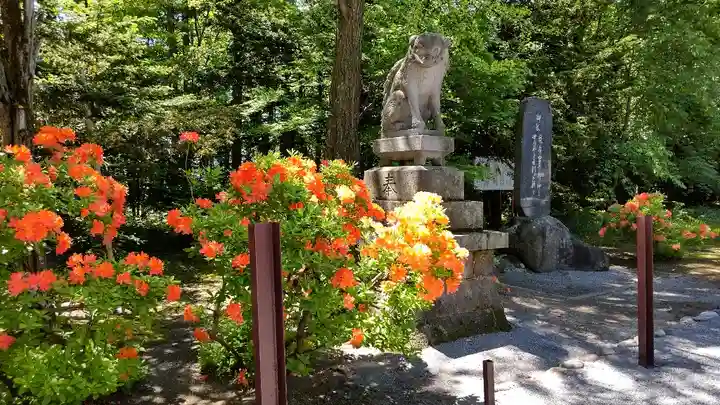 比布神社の狛犬