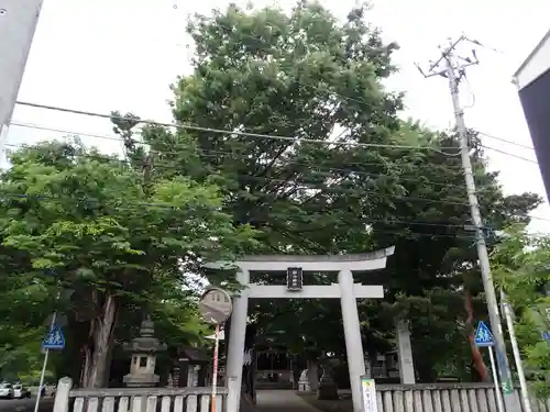 戸部杉山神社の鳥居