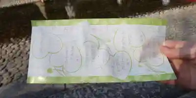 賀茂御祖神社(下鴨神社)のおみくじ