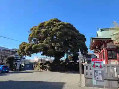 杉山神社(神奈川県)