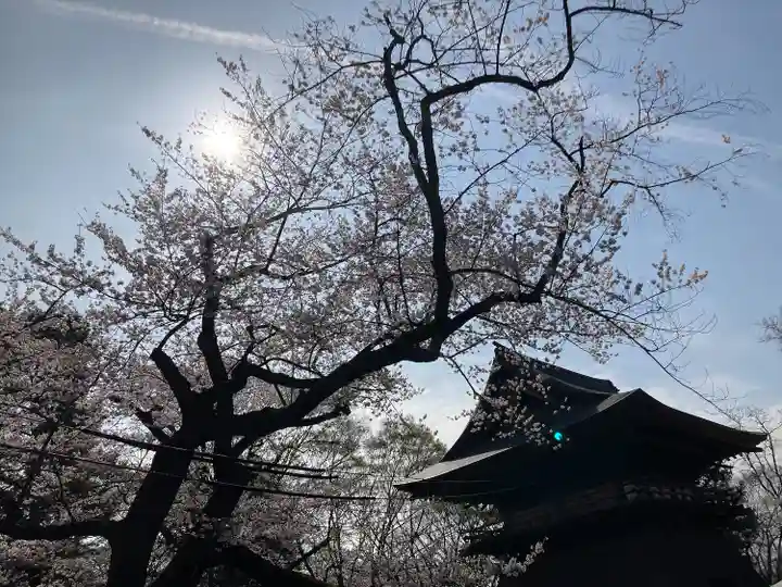 陸奥国分寺薬師堂(宮城県)