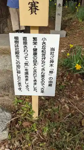 徳佐八幡宮のその他建物