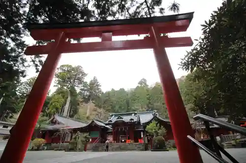 箱根神社の鳥居