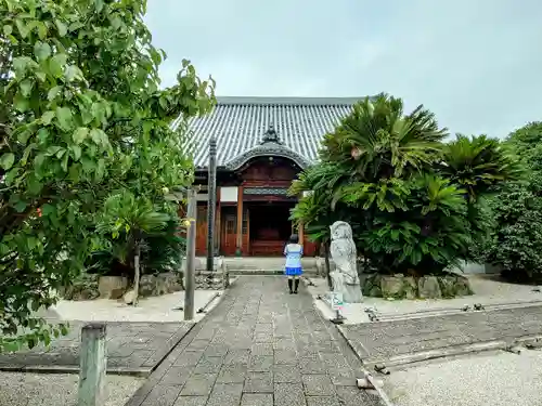 曹源寺の本殿