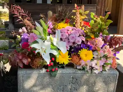 勝林寺(京都府)