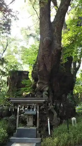 來宮神社の末社