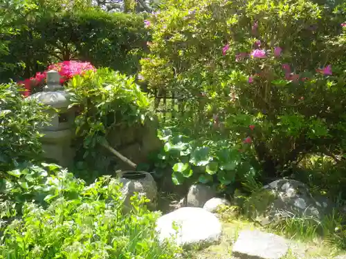 浄光明寺の庭園