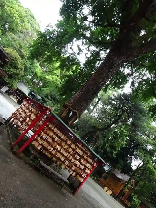 平塚八幡宮の絵馬