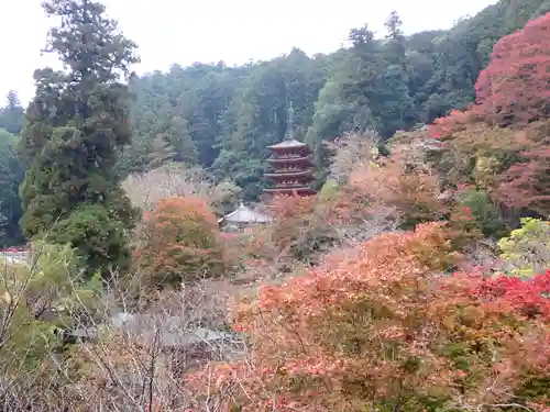 長谷寺の景色