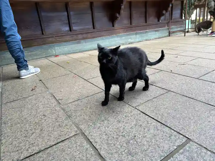 王子神社(徳島県)