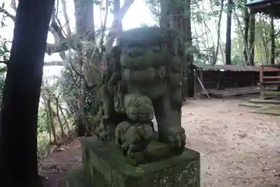 白幡神社の狛犬