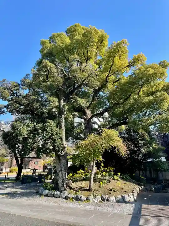法泉寺(東京都)