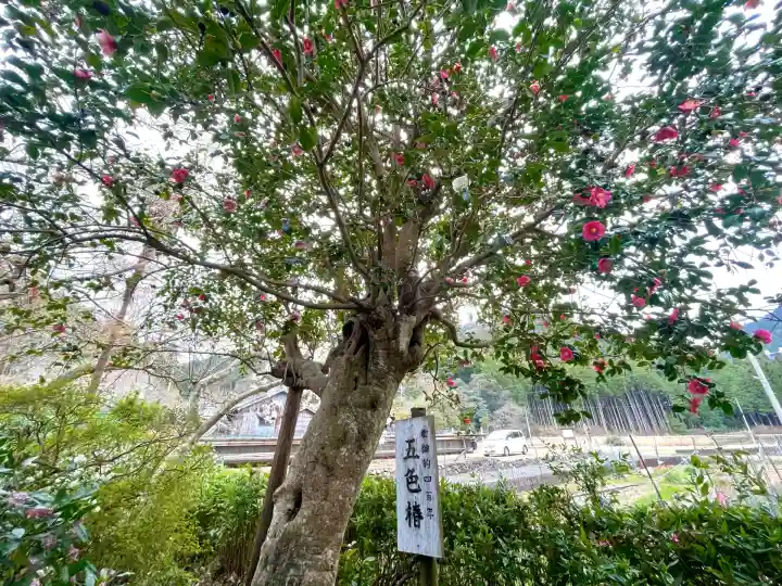 浄得寺(三重県)