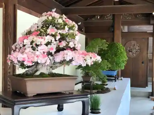 明治神宮(東京都)