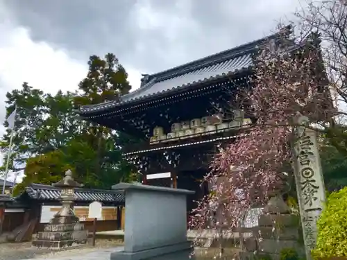 梅宮大社の山門