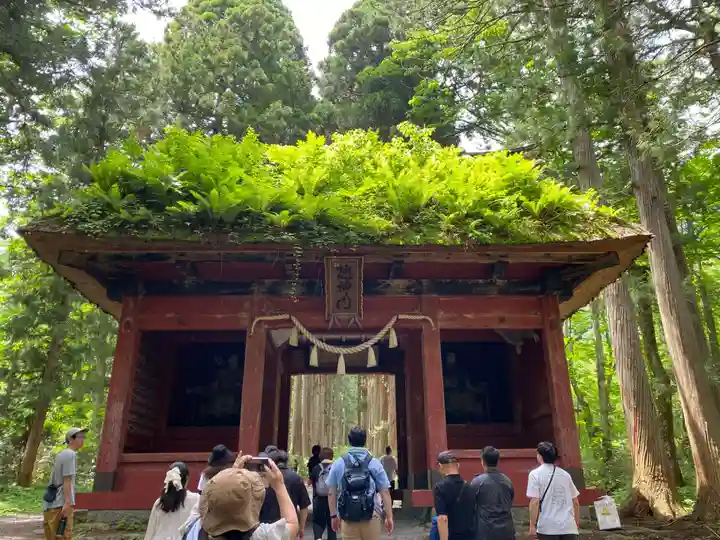 戸隠神社奥社(長野県)