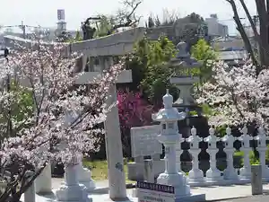 春日神社の鳥居(2021年03月27日(土) 13時26分01秒投稿)