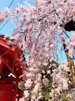 妙関寺(福島県)