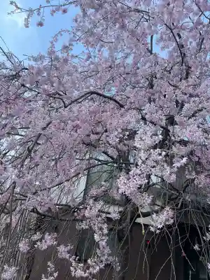 猿田彦神社の{uncategorized: "未分類", other: "その他", undefined: "問題あり", building: "その他建物", grave: "お墓", sacred_gate: "鳥居", guardian: "狛犬", statue: "像", buddha: "仏像", history: "歴史", nature: "自然", garden: "庭園", animal: "動物", pagoda: "塔", temizu: "手水舎", mountain_gate: "山門・神門", sanctuary: "本殿・本堂", subordinate: "末社・摂社", art: "芸術", scenery: "景色", jizo: "地蔵", ema: "絵馬", goshuin: "御朱印", omikuji: "おみくじ", items: "授与品その他", amulet: "お守り", goshuincho: "御朱印帳", eats: "食事", festival: "お祭り", votive_dance: "神楽", shichigosan: "七五三参", wedding: "結婚式", experience: "体験その他", initially: "初詣", around: "周辺", anti_infection: "感染症対策"}
