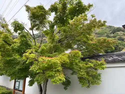 永興寺(山口県)