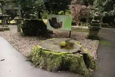 観世音神社(福井県)