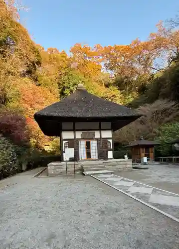 明月院の{uncategorized: "未分類", other: "その他", undefined: "問題あり", building: "その他建物", grave: "お墓", sacred_gate: "鳥居", guardian: "狛犬", statue: "像", buddha: "仏像", history: "歴史", nature: "自然", garden: "庭園", animal: "動物", pagoda: "塔", temizu: "手水舎", mountain_gate: "山門・神門", sanctuary: "本殿・本堂", subordinate: "末社・摂社", art: "芸術", scenery: "景色", jizo: "地蔵", ema: "絵馬", goshuin: "御朱印", omikuji: "おみくじ", items: "授与品その他", amulet: "お守り", goshuincho: "御朱印帳", eats: "食事", festival: "お祭り", votive_dance: "神楽", shichigosan: "七五三参", wedding: "結婚式", experience: "体験その他", initially: "初詣", around: "周辺", anti_infection: "感染症対策"}