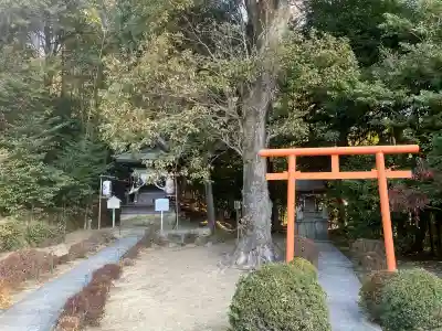 白國神社の{uncategorized: "未分類", other: "その他", undefined: "問題あり", building: "その他建物", grave: "お墓", sacred_gate: "鳥居", guardian: "狛犬", statue: "像", buddha: "仏像", history: "歴史", nature: "自然", garden: "庭園", animal: "動物", pagoda: "塔", temizu: "手水舎", mountain_gate: "山門・神門", sanctuary: "本殿・本堂", subordinate: "末社・摂社", art: "芸術", scenery: "景色", jizo: "地蔵", ema: "絵馬", goshuin: "御朱印", omikuji: "おみくじ", items: "授与品その他", amulet: "お守り", goshuincho: "御朱印帳", eats: "食事", festival: "お祭り", votive_dance: "神楽", shichigosan: "七五三参", wedding: "結婚式", experience: "体験その他", initially: "初詣", around: "周辺", anti_infection: "感染症対策"}
