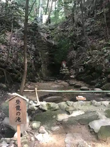 星田妙見宮の自然