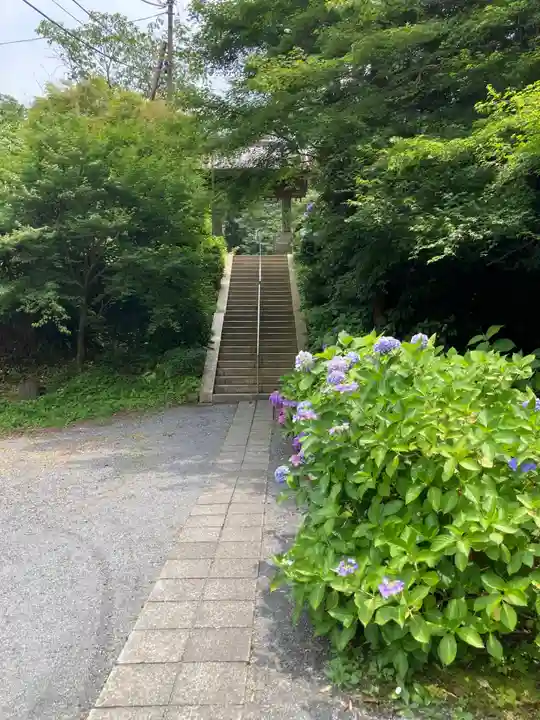 回春院(神奈川県)