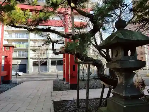 彌彦神社　(伊夜日子神社)の鳥居