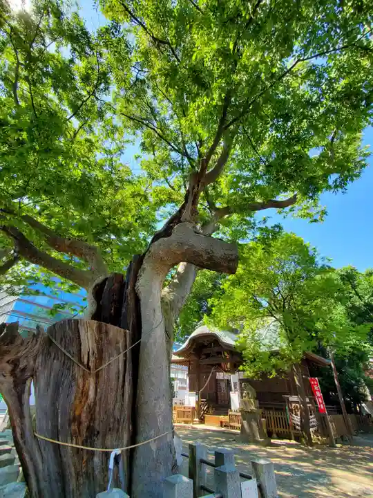 阿邪訶根神社のその他建物