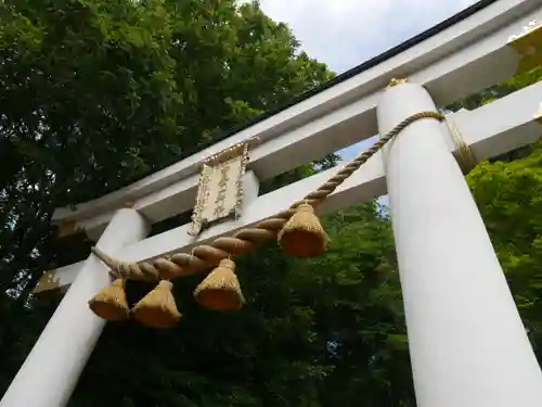 宝登山神社の鳥居