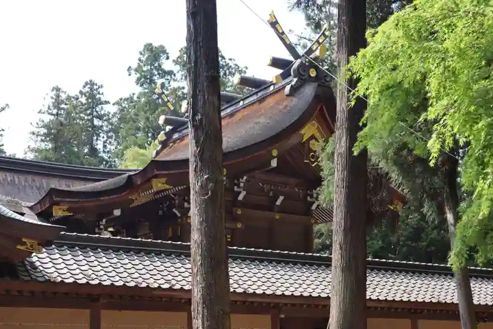 多賀大社(滋賀県)