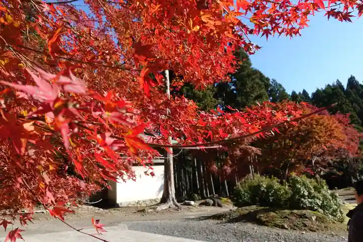 古知谷阿弥陀寺の自然