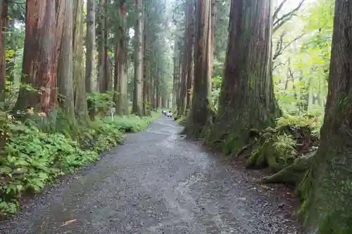 戸隠神社奥社の周辺