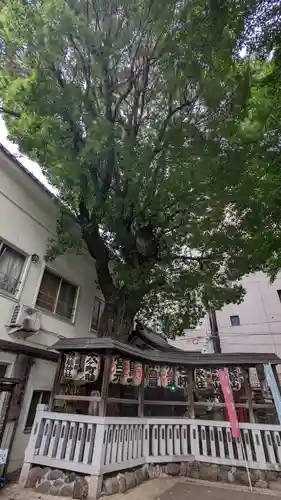 鳥越神社(東京都)