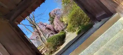 慈雲寺の山門・神門