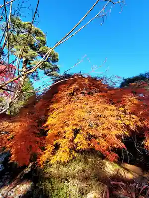 開成山大神宮(福島県)